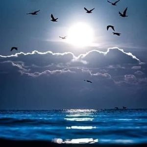 Meet your Posher, Jan